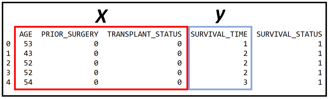 Top 5 rows of the Stanford heart transplant data set (Image by Author)